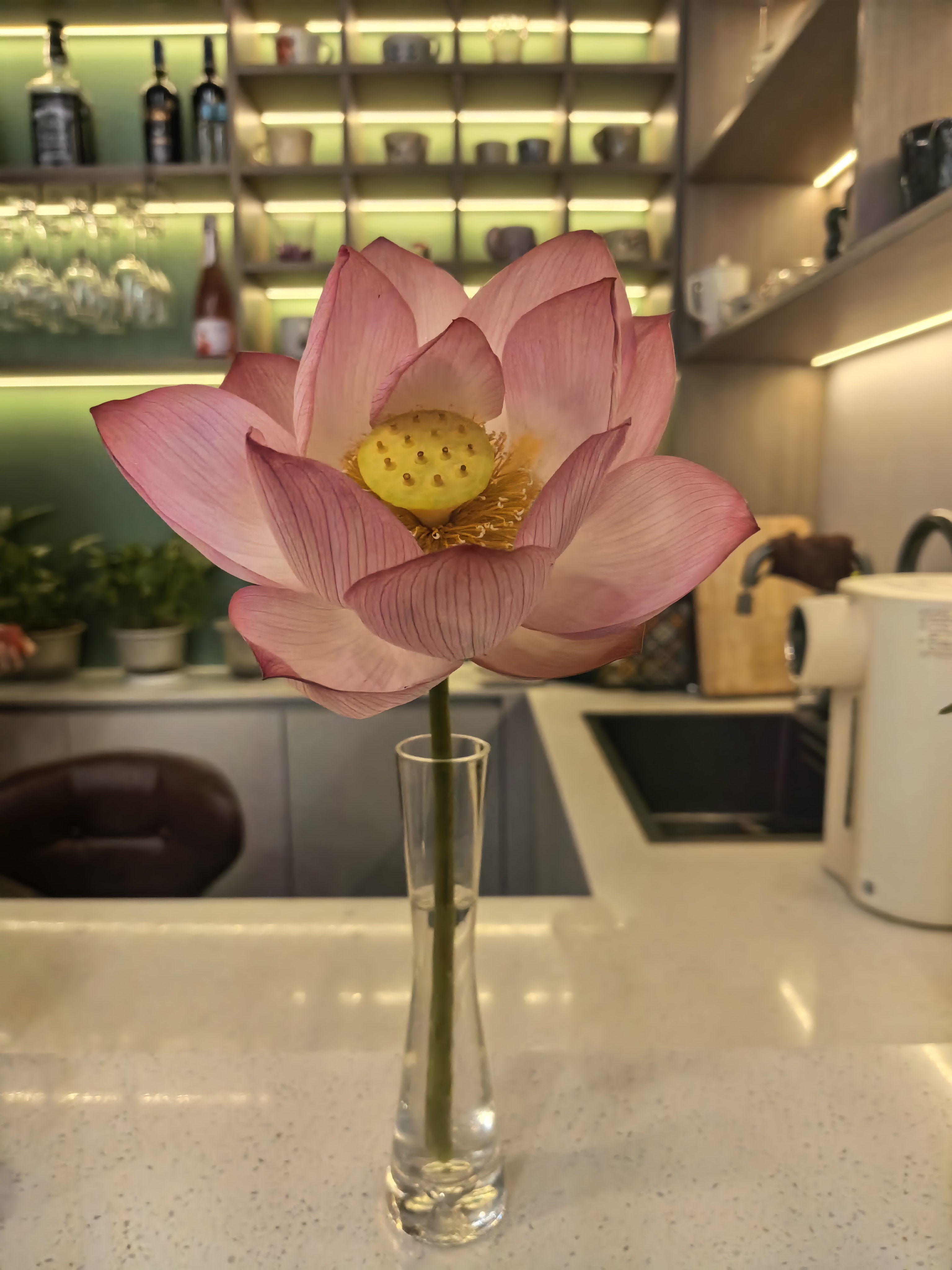 天和道空间内的荷花陈设细节
